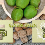 geneva-green banner